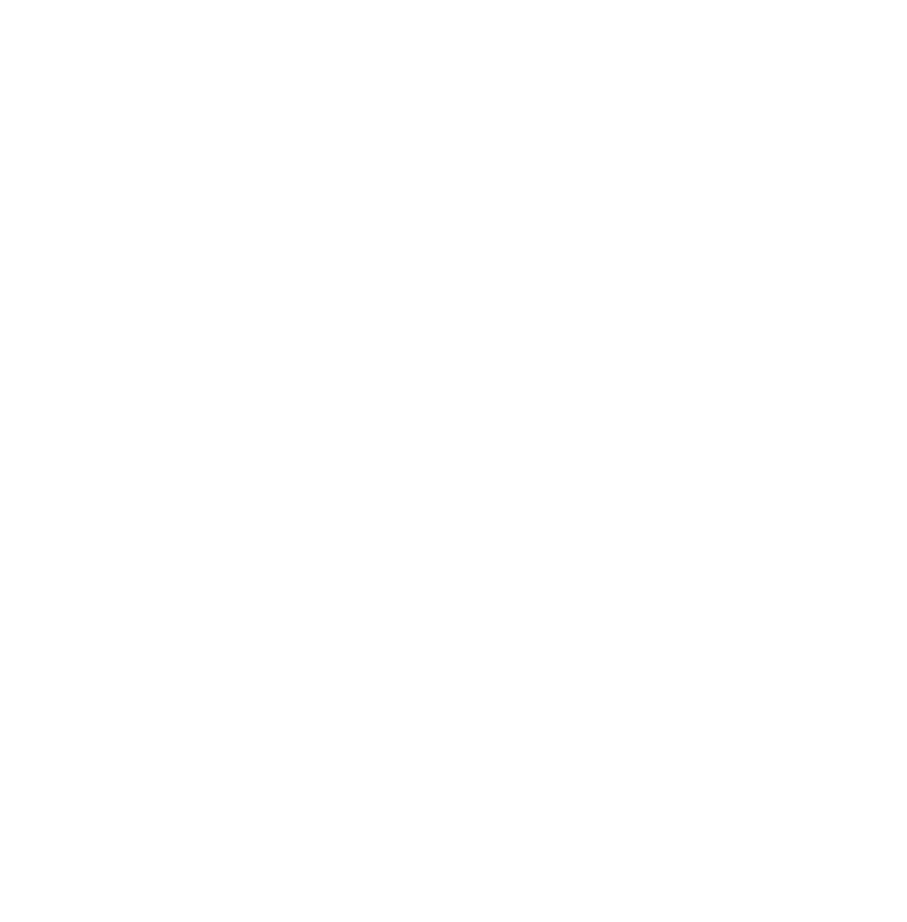 Livity ICT Logo